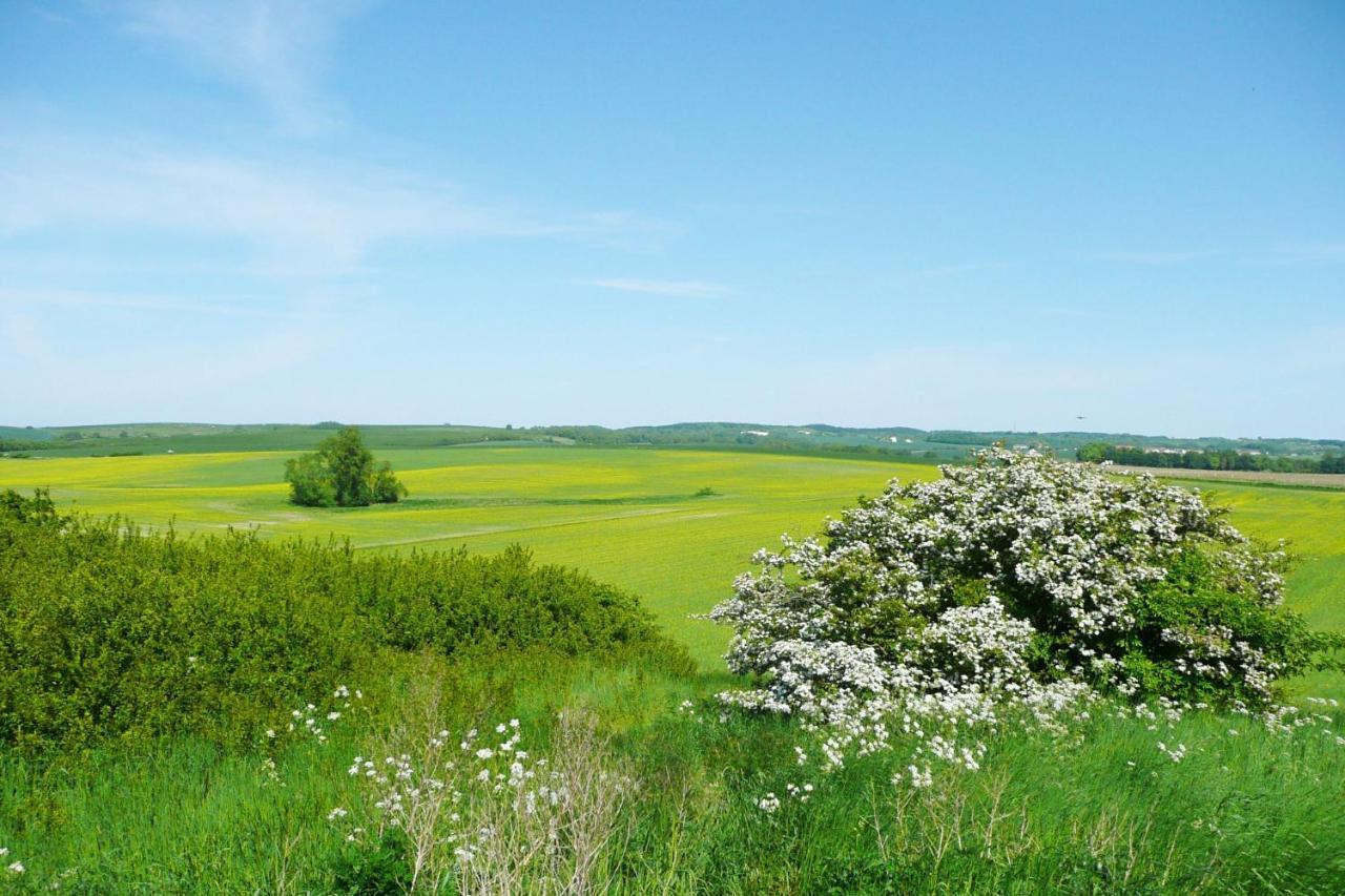 Ferienwohnung Mit Balkon Und Meerblick - Ferienresidenz Zwei Bodden Fewo 1-4 Lietzow エクステリア 写真